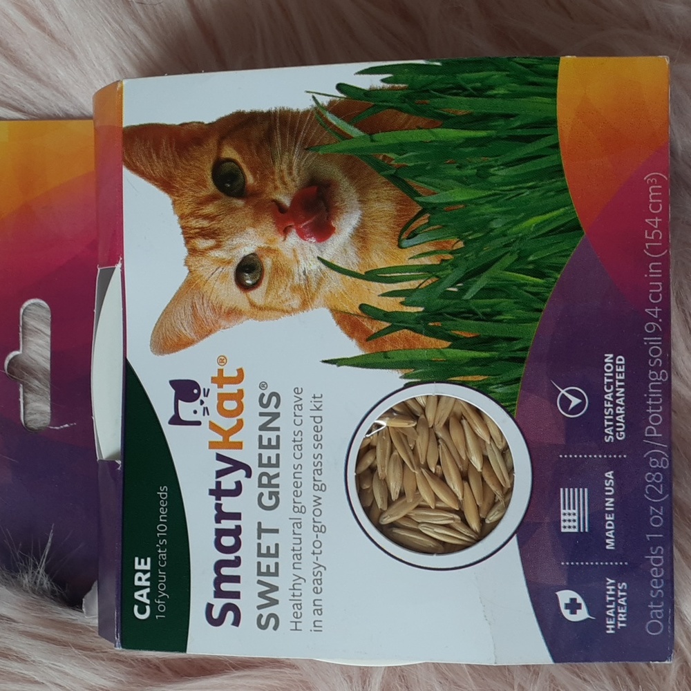 SALE!!! Brand New SMARTYKAT Sweet Greens Grass Seed KIT